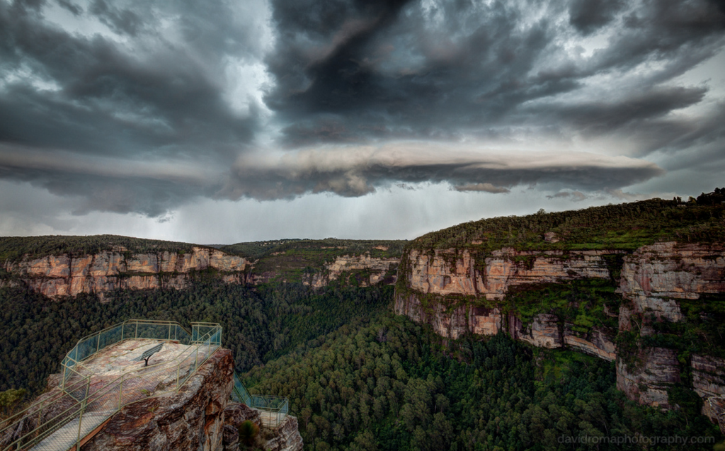 Ask Roz Blue Mountains Photographer of the week David Roma