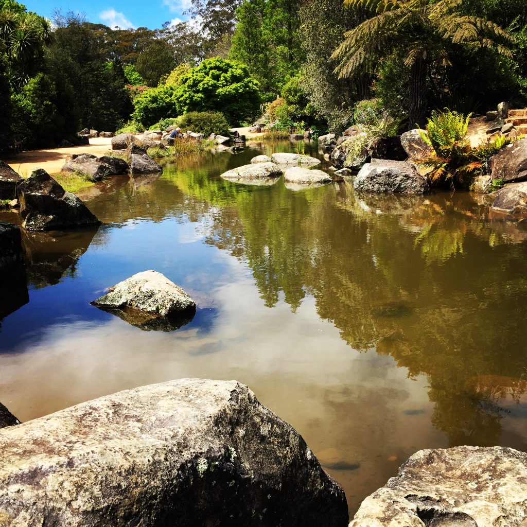 Ask Roz Blue Mountains Botanic Garden
