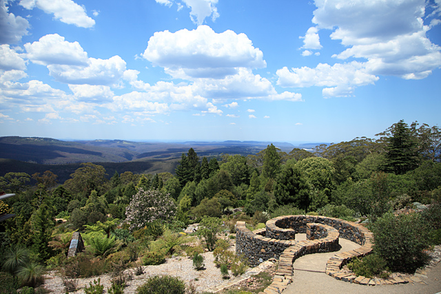 Ask Roz Blue Mountains Botanic Garden