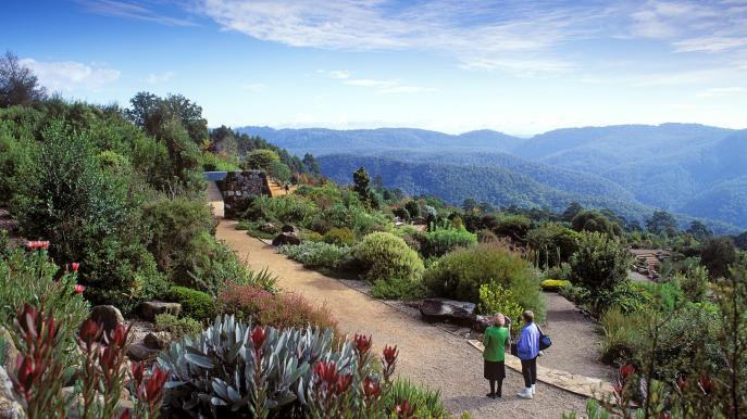 Ask Roz Blue Mountains Botanic Garden