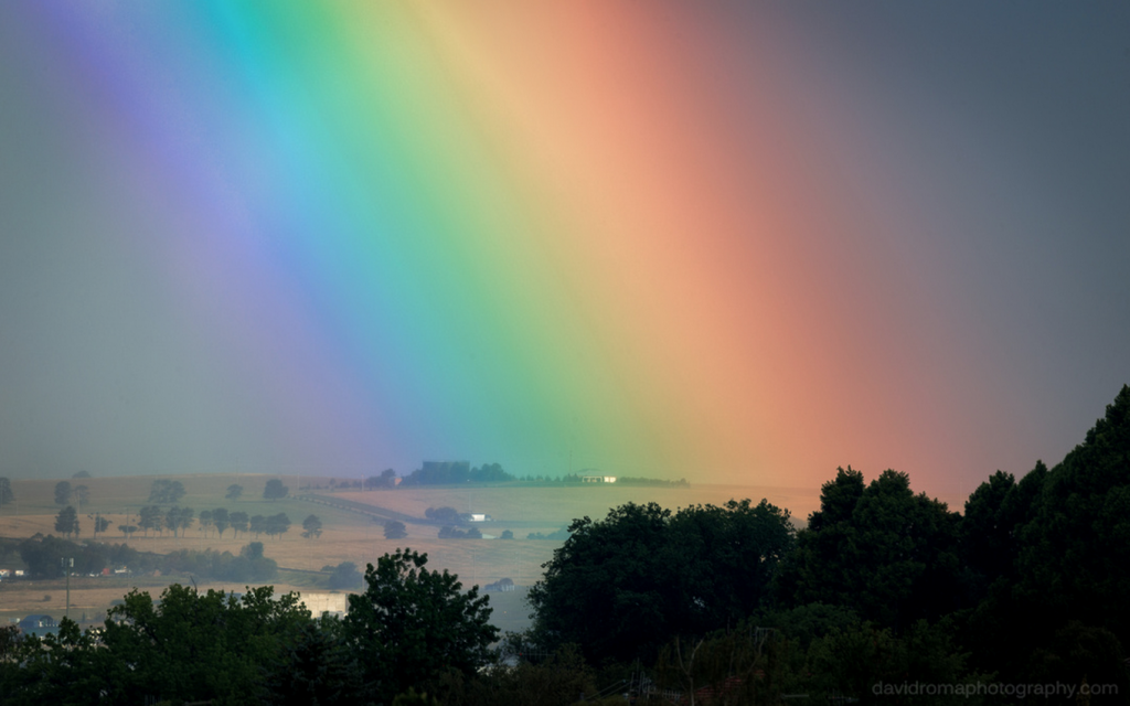 Ask Roz Blue Mountains Photographer of the week David Roma