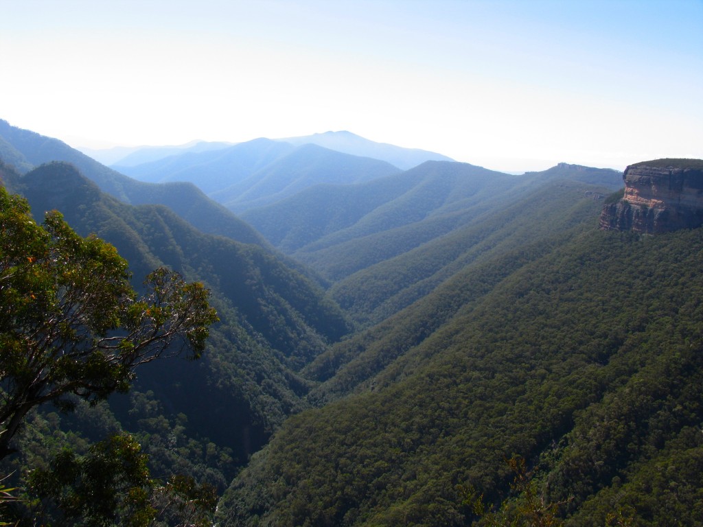 Kanangra Boyd National Park