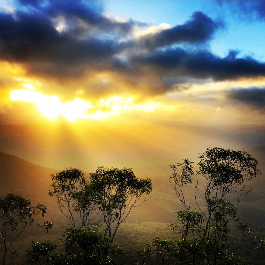 Ask Roz Blue Mountains