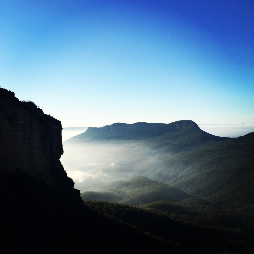 Ask Roz Blue Mountains