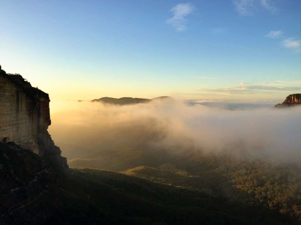 Ask Roz Blue Mountains