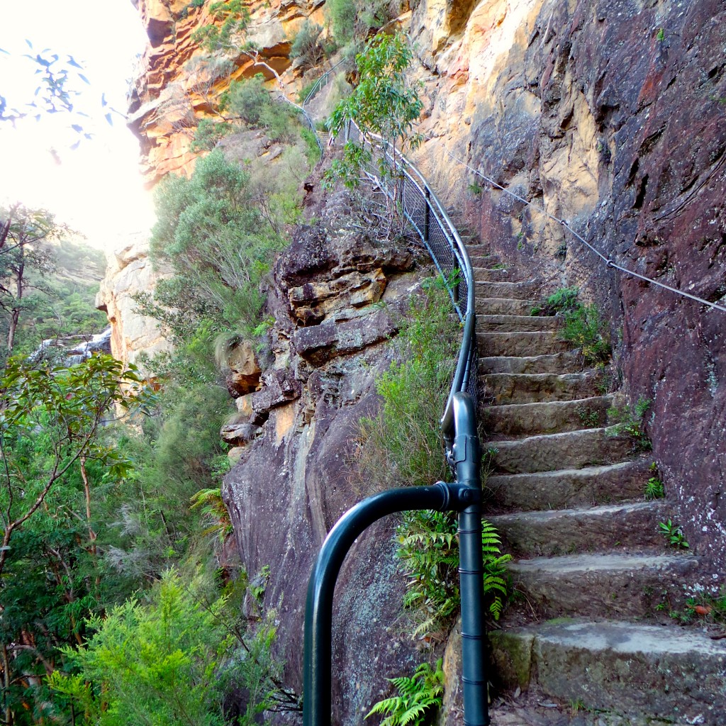 Wentworth Pass, Wentworth Falls, Ask Roz Blue Mountains