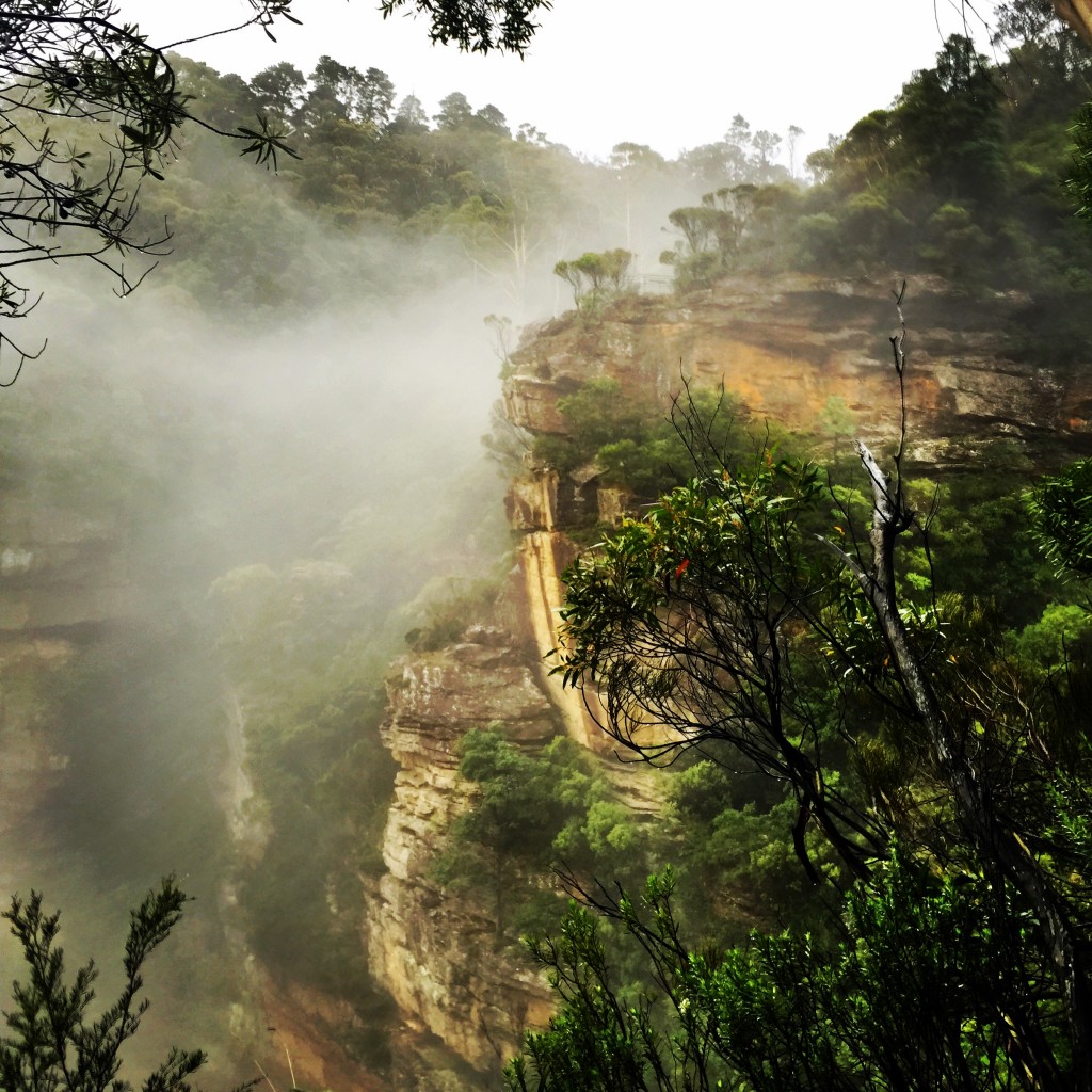 Wentworth Pass, Wentworth Falls, Ask Roz Blue Mountains