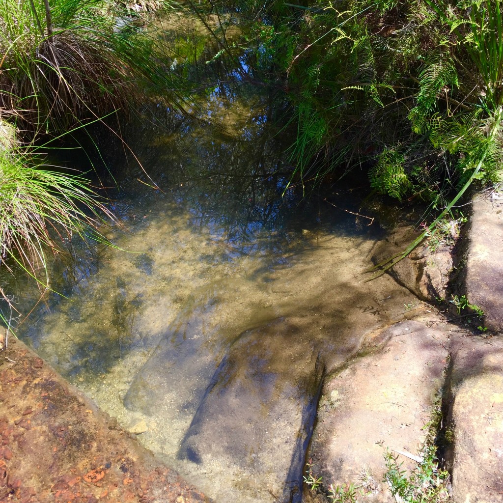 Hazelbrook Public Baths