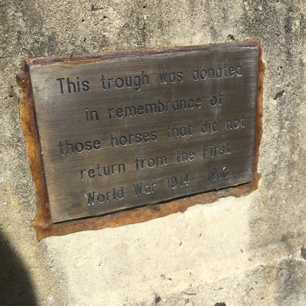 Glenbrook Horse Trough