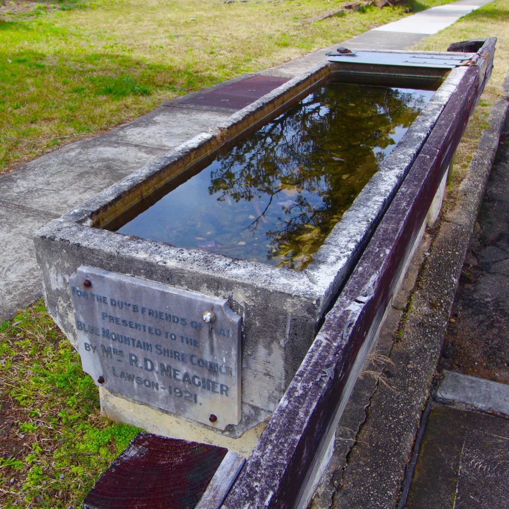 Lawson Horse Trough