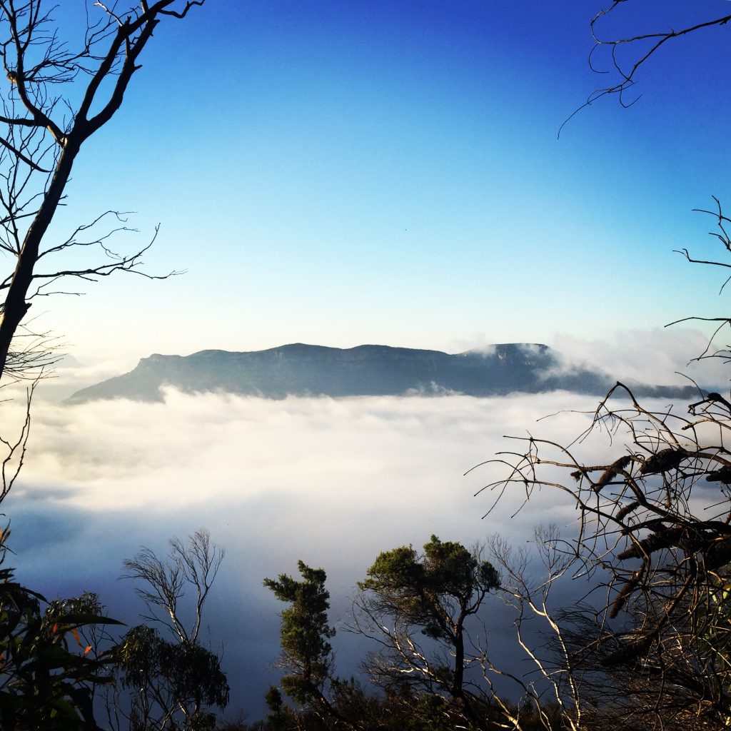 Ask Roz Blue Mountains best sunrise spots in Leura