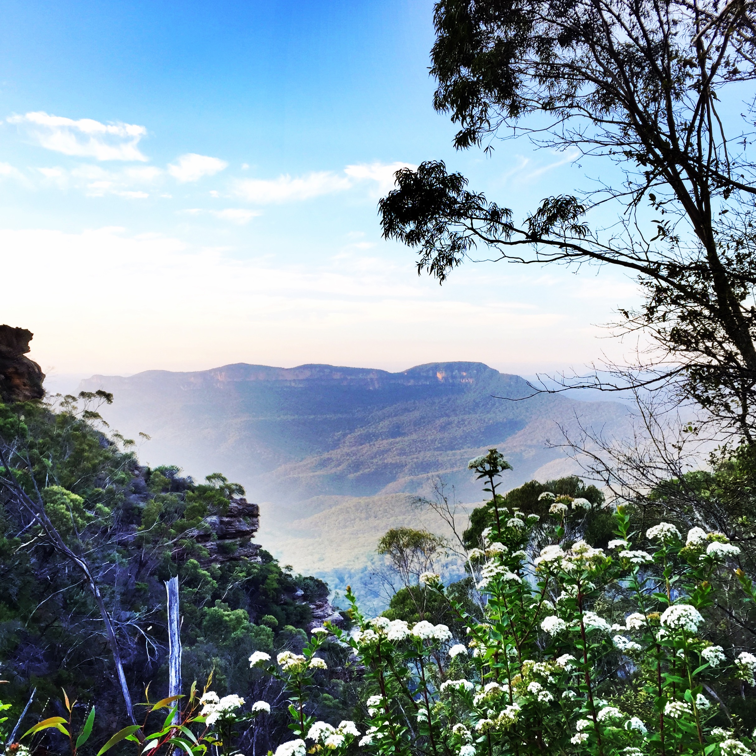 Ask Roz Blue Mountains best sunrise spots in Leura