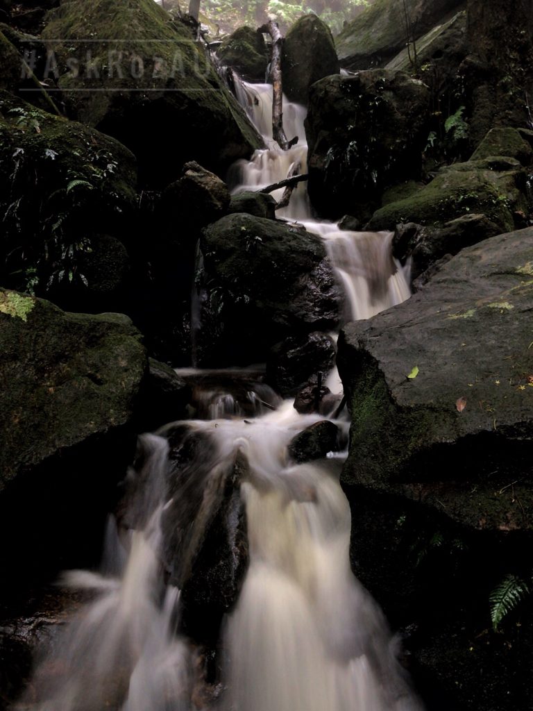 Ask Roz Katoomba Falls Witchs Leap