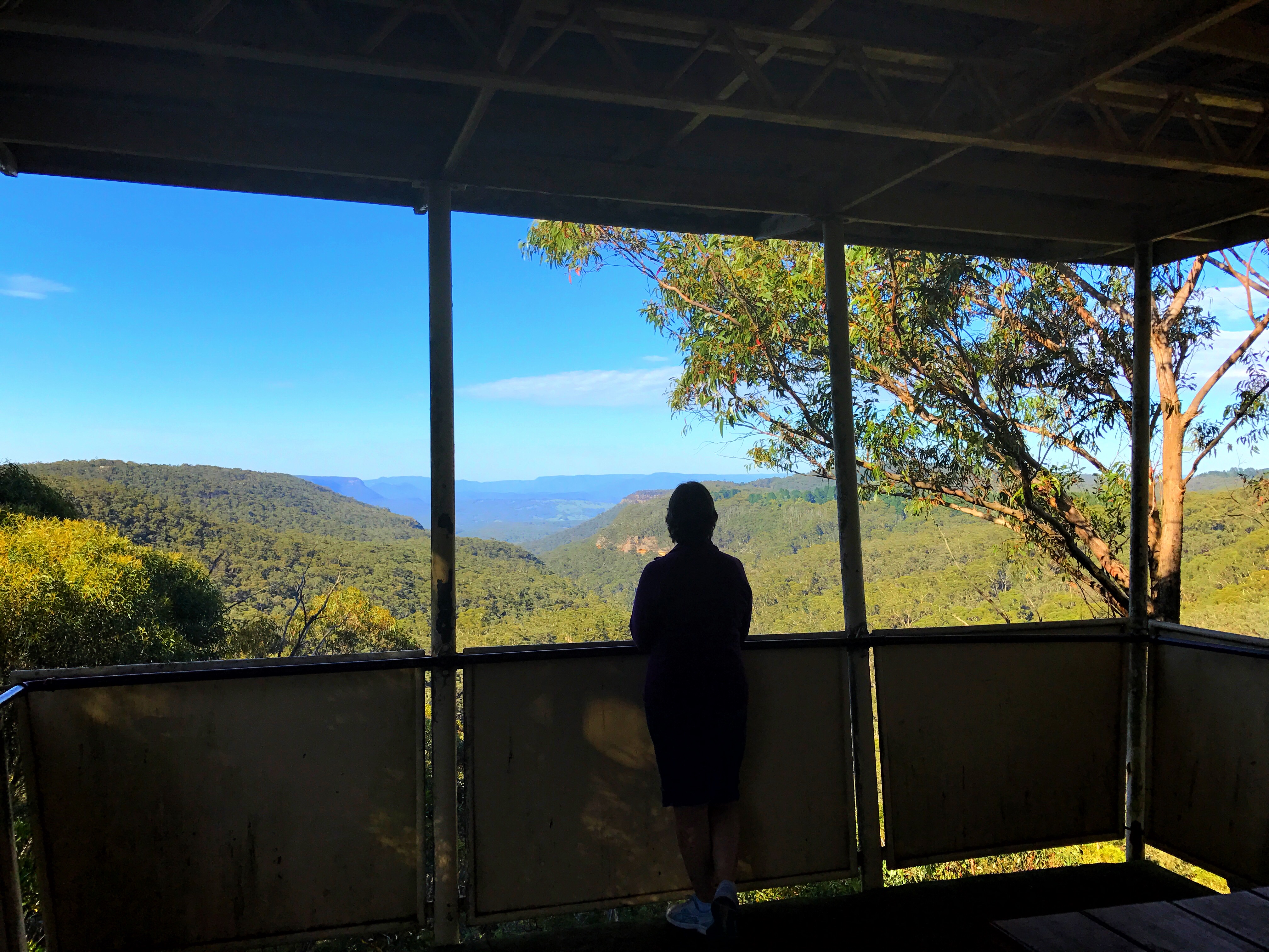 Ask Roz, Paul Harris Lookout