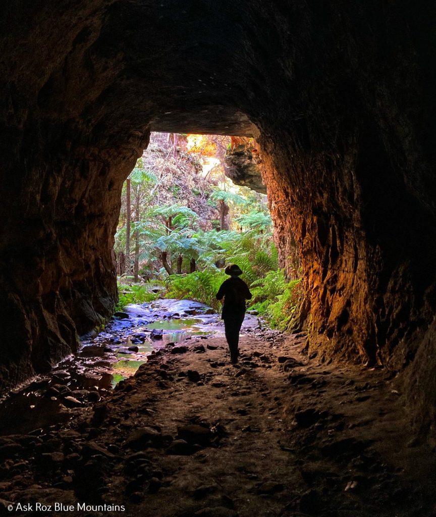 Explore the Blue Mountains' own Glow Worm Tunnel