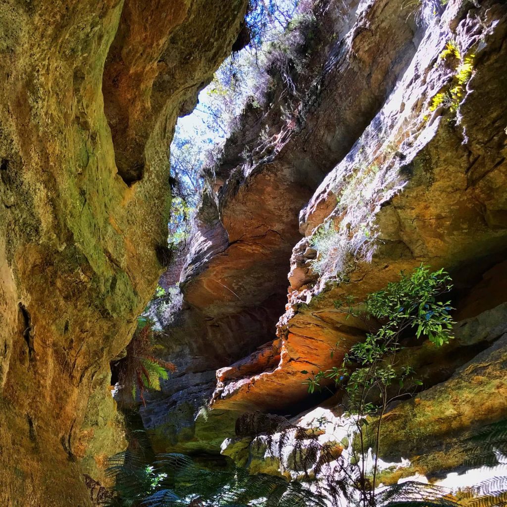 Explore the Blue Mountains' own Glow Worm Tunnel