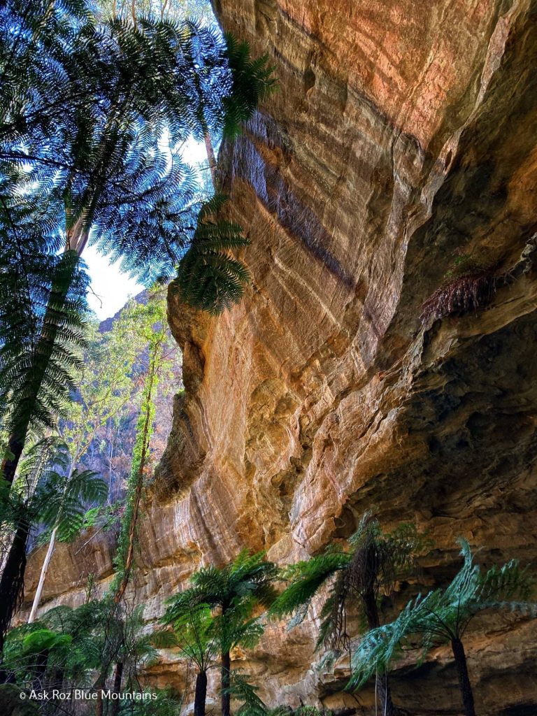 Explore the Blue Mountains' own Glow Worm Tunnel Explore the Blue Mountains' own Glow Worm Tunnel