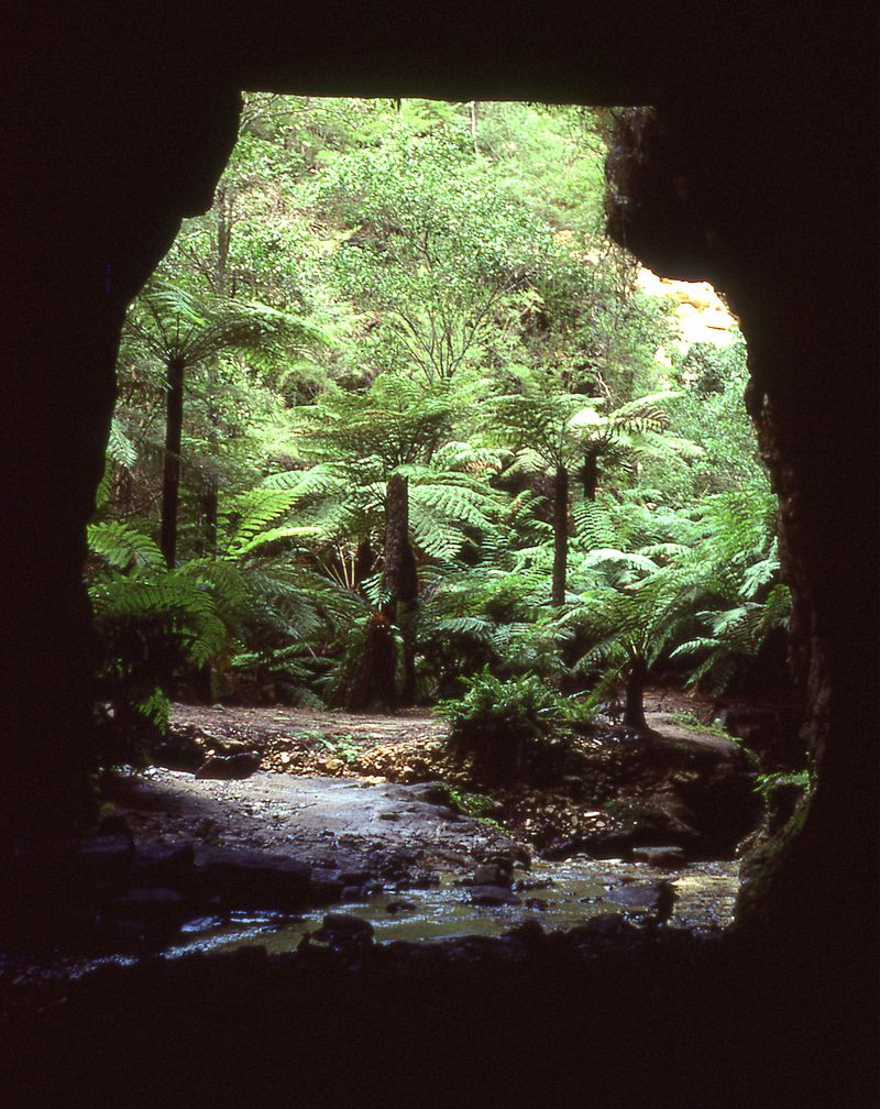 Ask Roz Glow Worm Tunnel