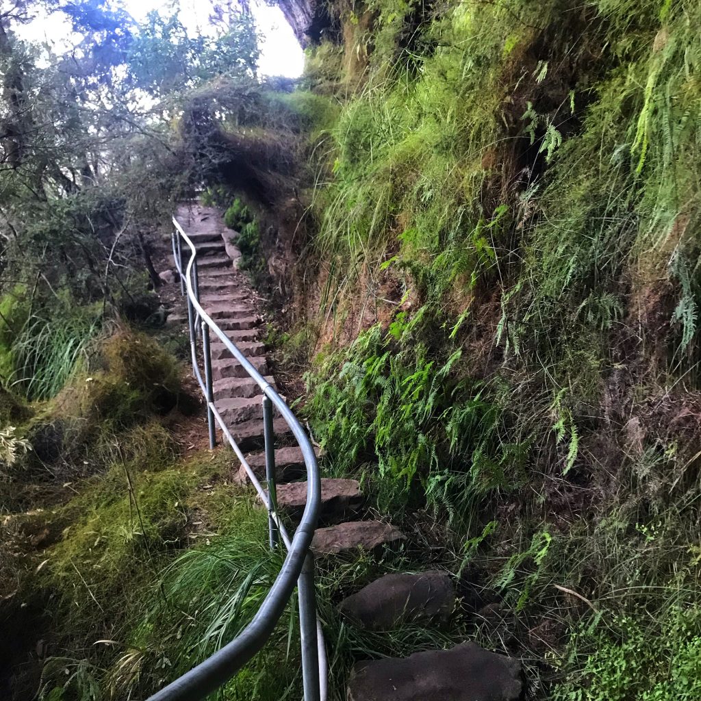 Undercliff-Overcliff walk Wentworth Falls