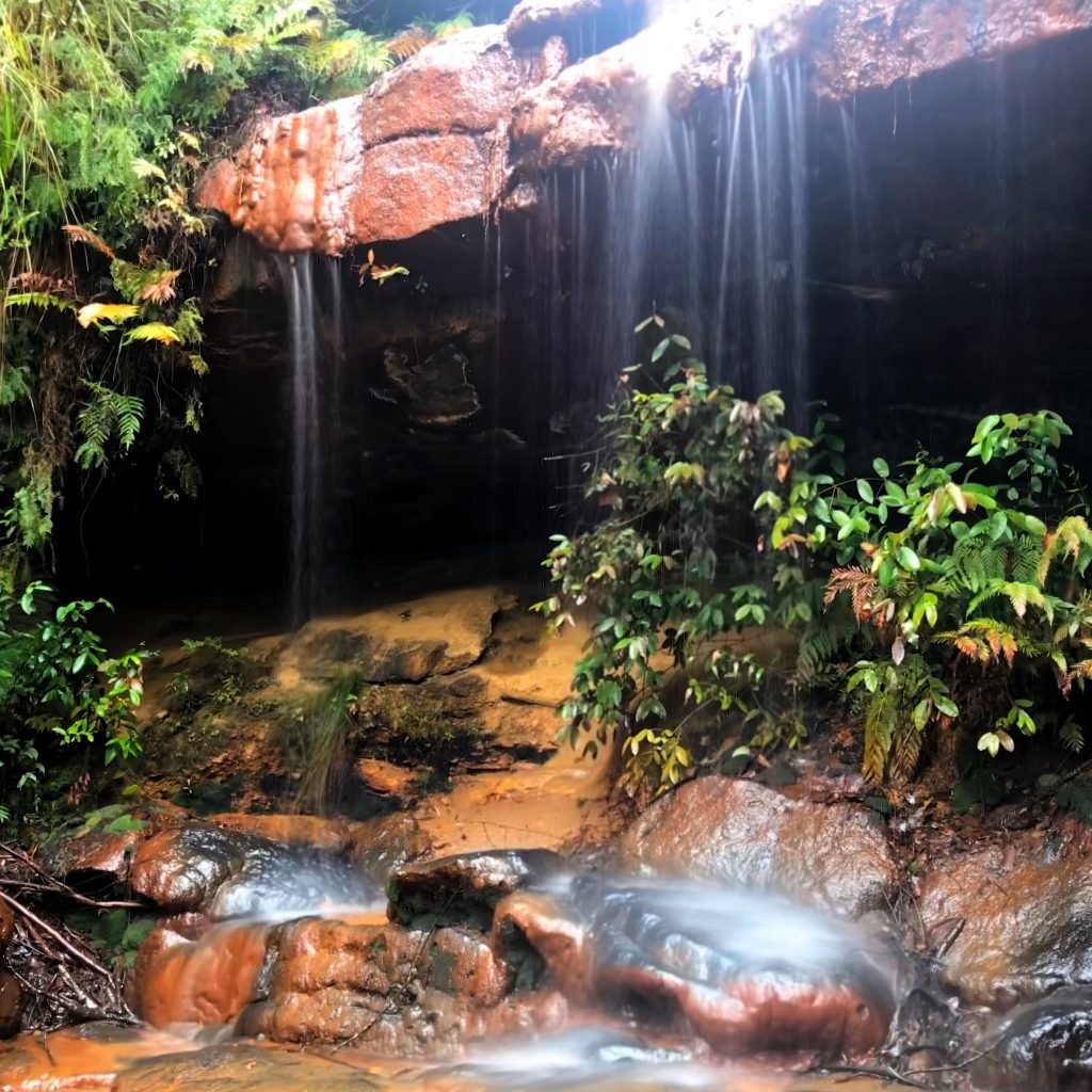 Dantes Glen Walking Track