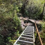 Minnie HaHa Falls, Katoomba