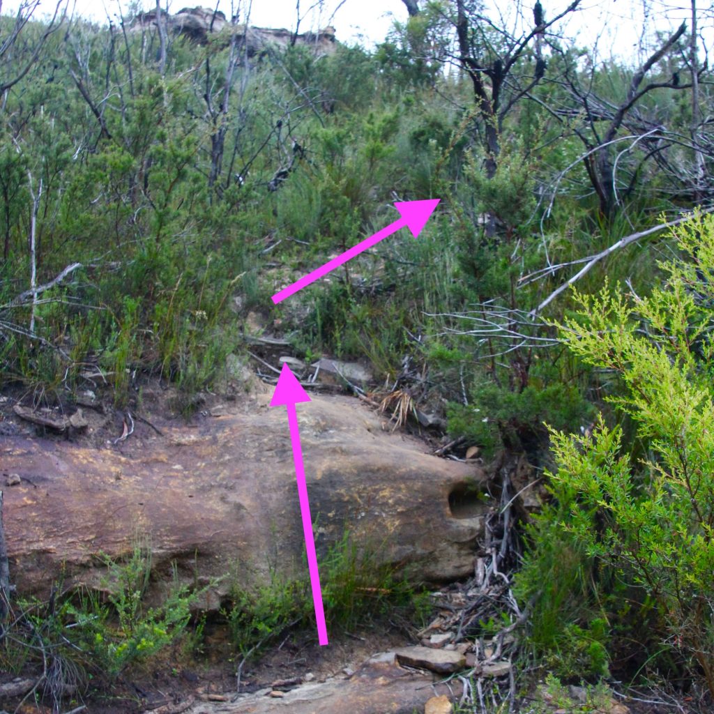 Sphinx Rock, Katoomba