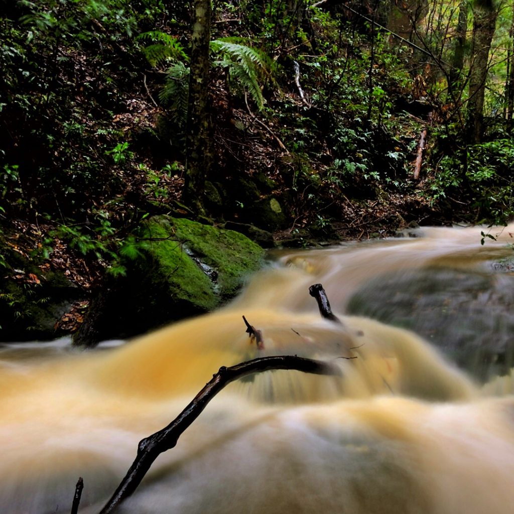 Dantes Glen Walking Track