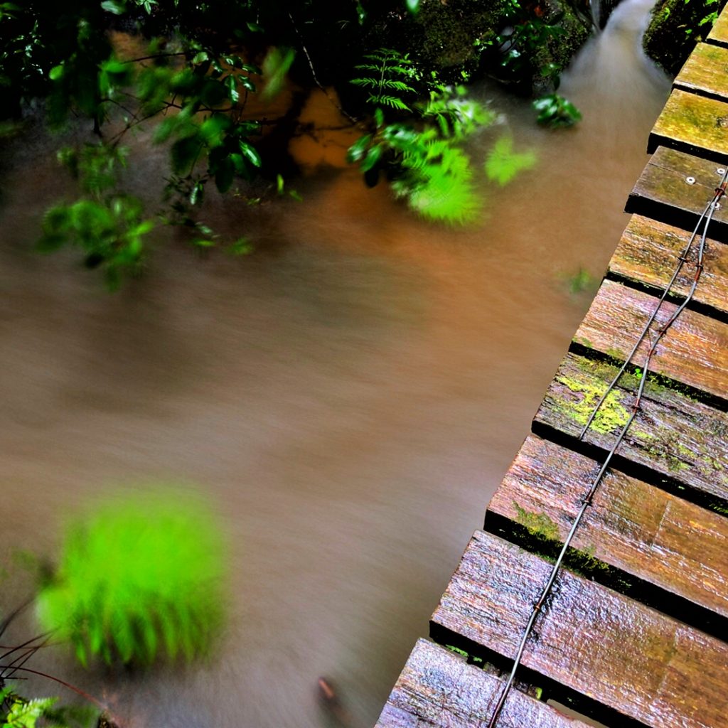 Dantes Glen Walking Track