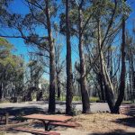 Mount York, Mount Victoria