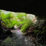 Blair Athol No 4 Coal Mine, Mount Victoria