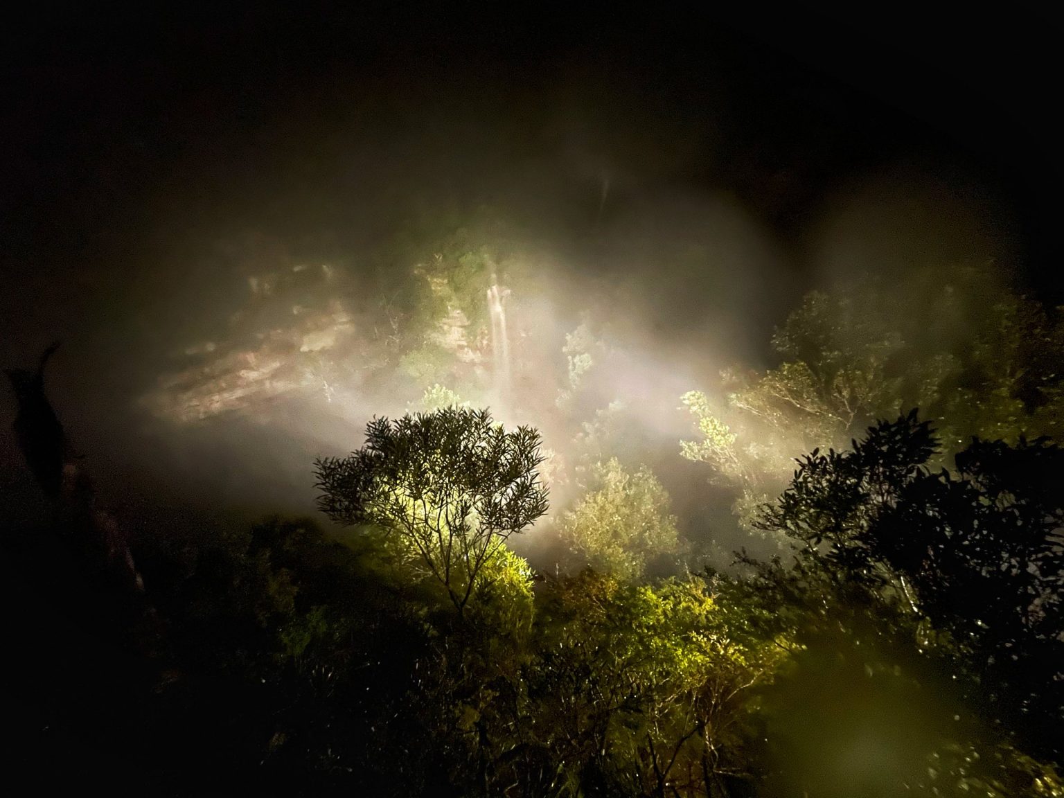 Katoomba Falls NightLit Walk
