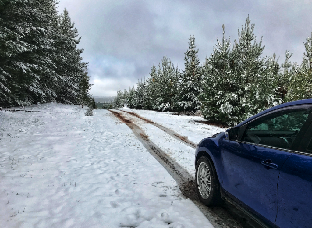 How cold does it get in the Blue Mountains Ask Roz