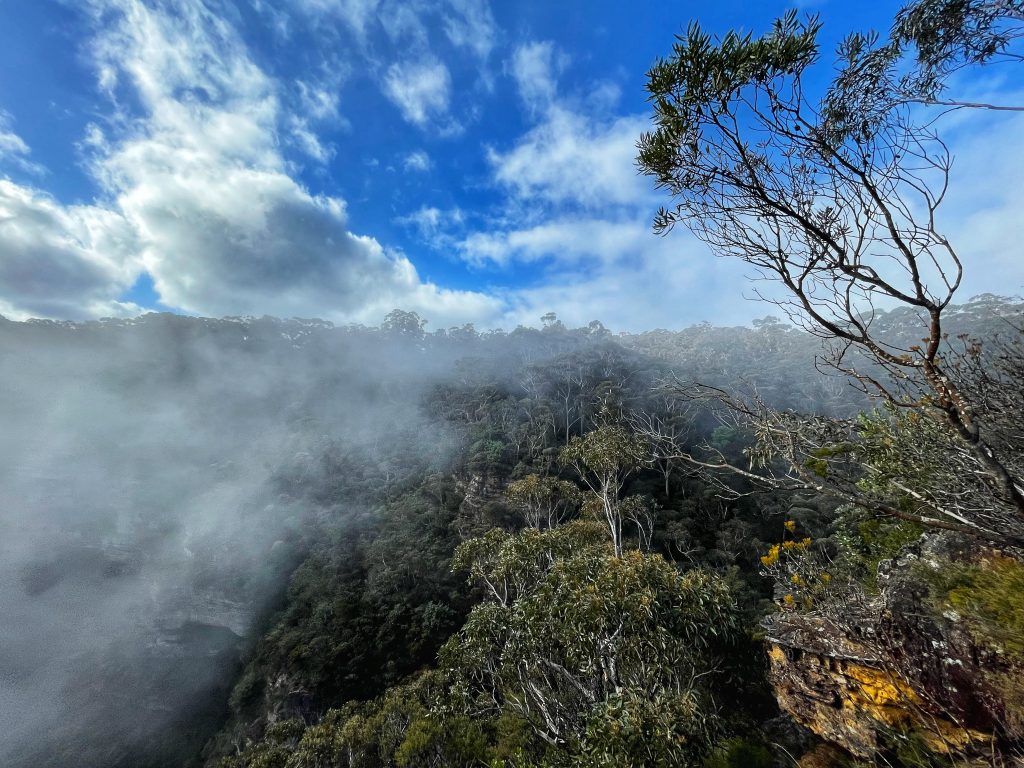 Bridal Veil View Lookout Leura, the prettiest lookout in the Blue Mountains