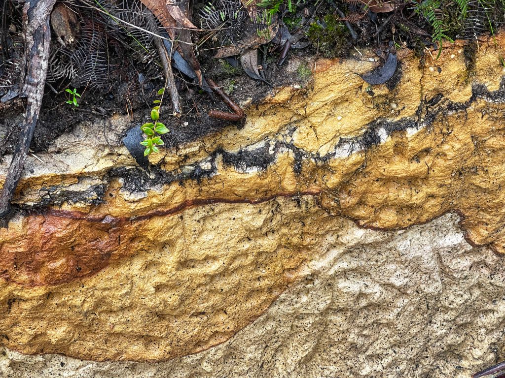 Bridal Veil View Lookout Leura, the prettiest lookout in the Blue Mountains