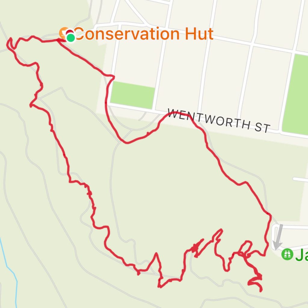 Overcliff Walk Wentworth Falls